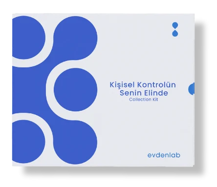Testosteron Düzeyi Ölçüm Test Kiti